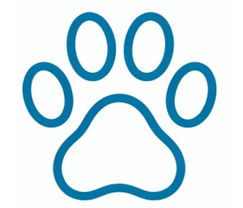 Pet friendly