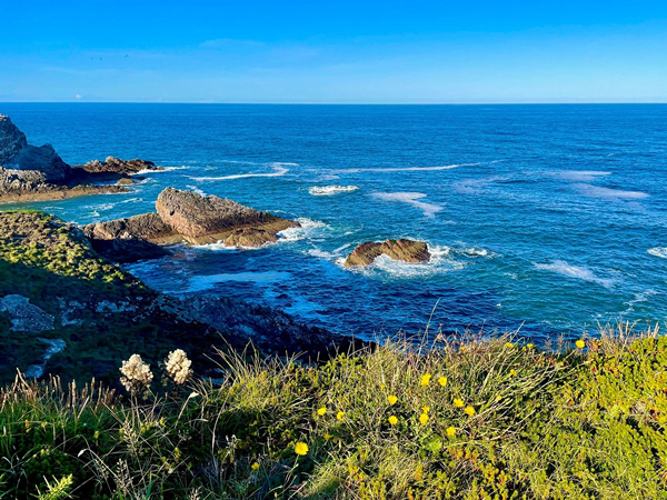 Portknockie cliffs path